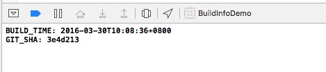iOS-Build-Info-6
